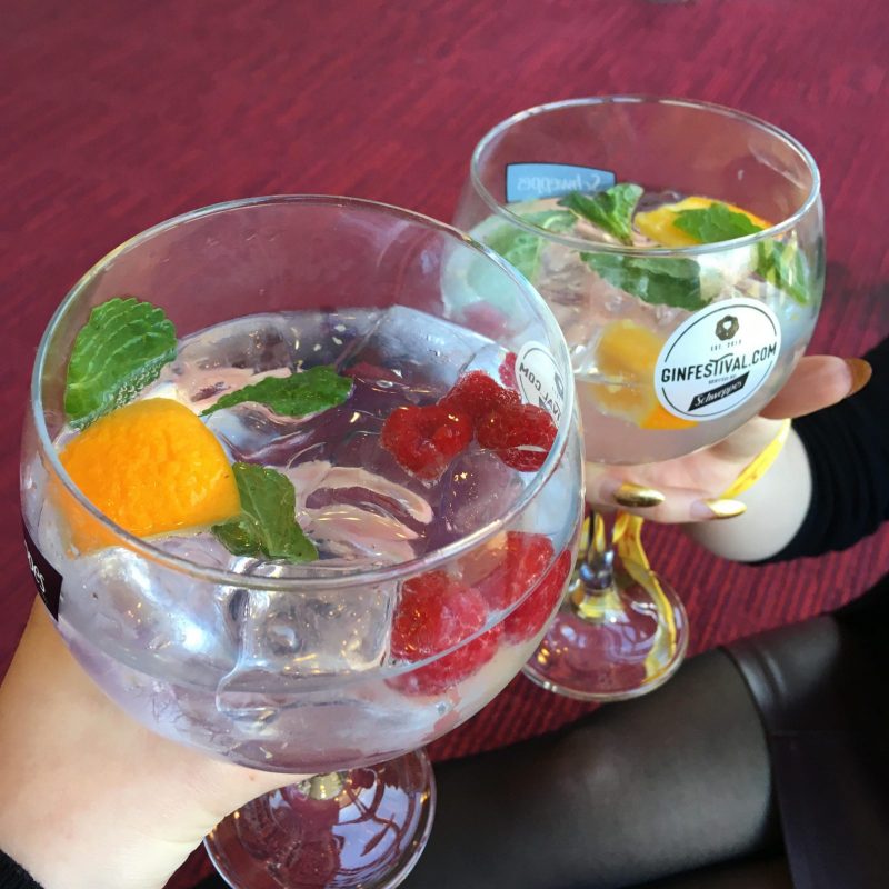 two big glasses of gin embellished with fruit and mint
