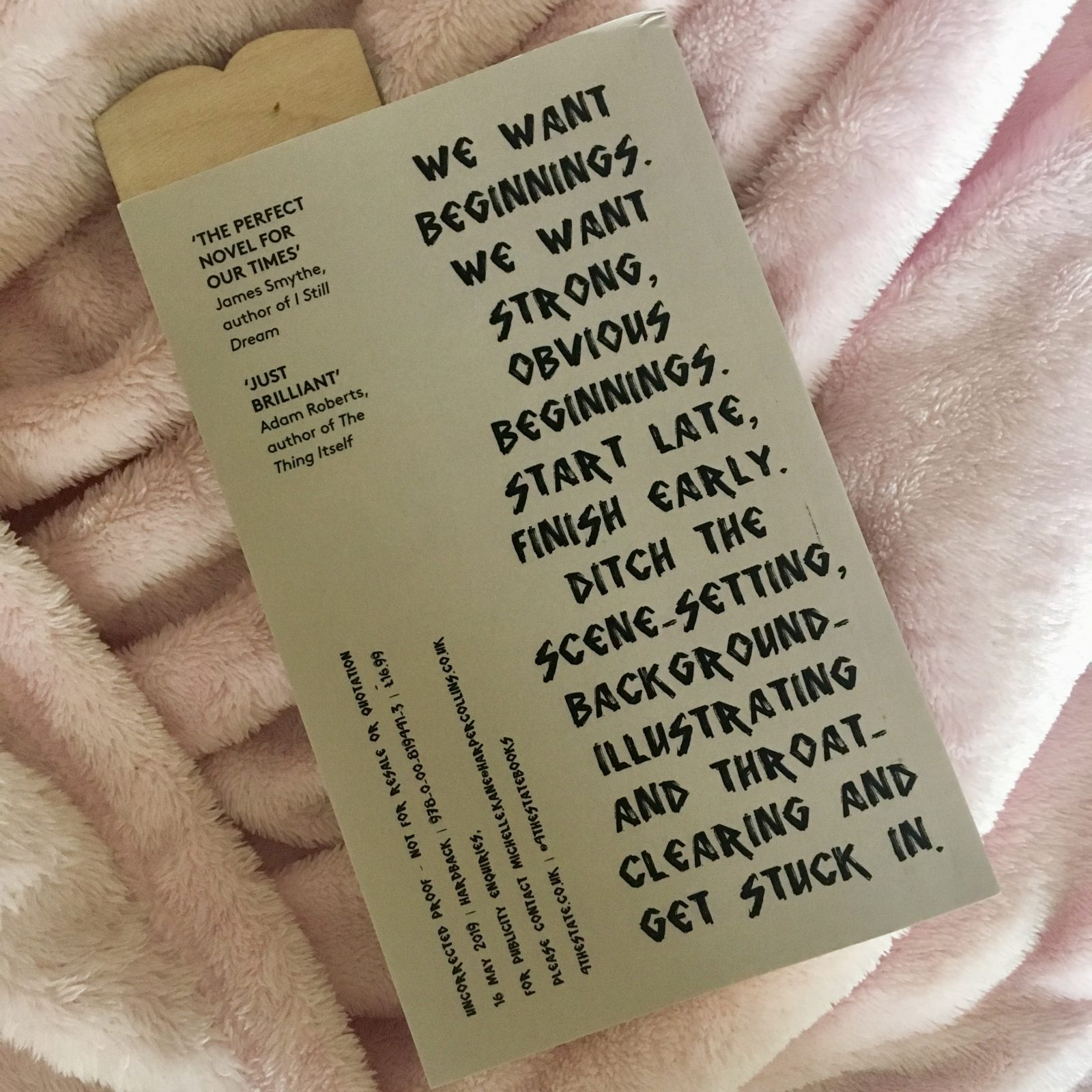 back cover of plume book by will wiles, on pink blanket