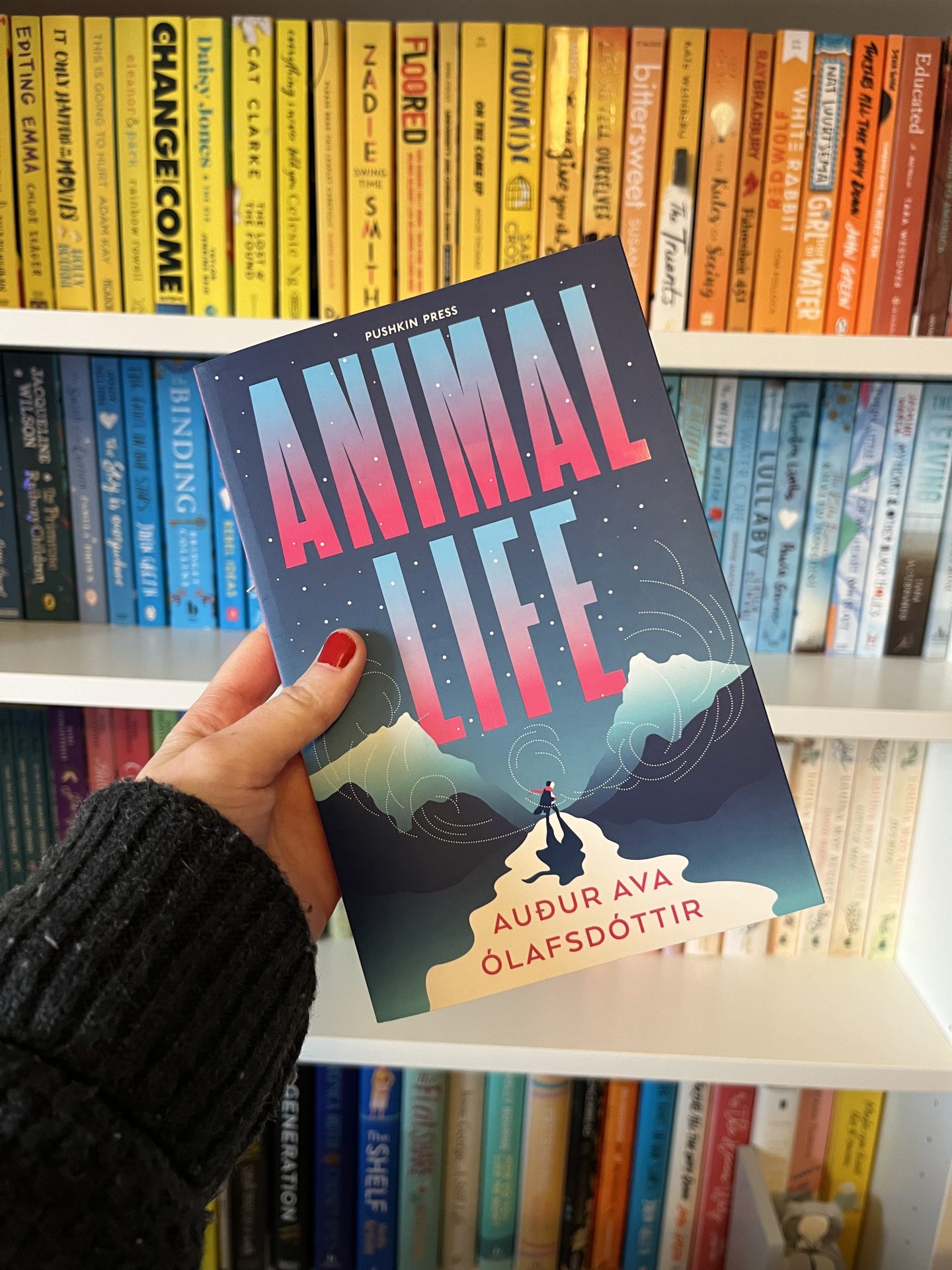 Pippa's hand holding up a paperback copy of Animal Life by Audur Ava Ólafsdóttir in front of her rainbow bookshelves.